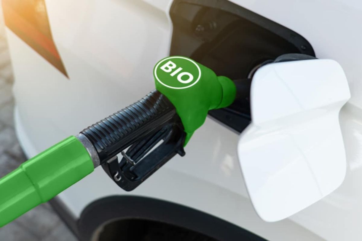 Bioenergia Traz Oportunidades de Investimento